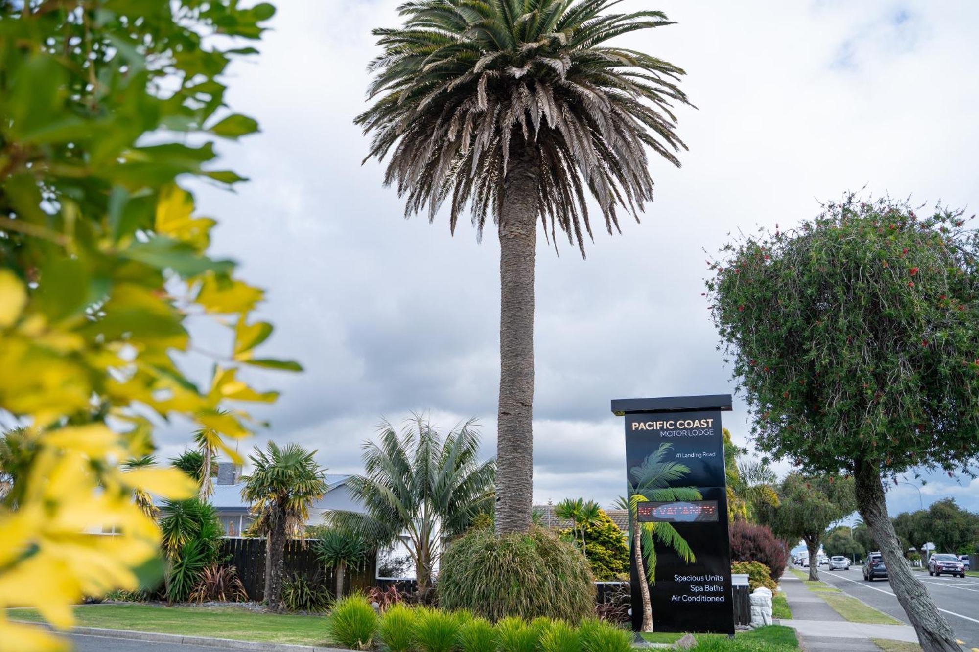Pacific Coast Motor Lodge Whakatane Luaran gambar
